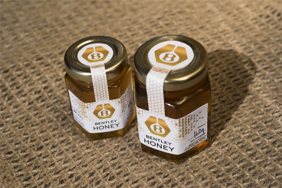 Honey Harvest 2022 4