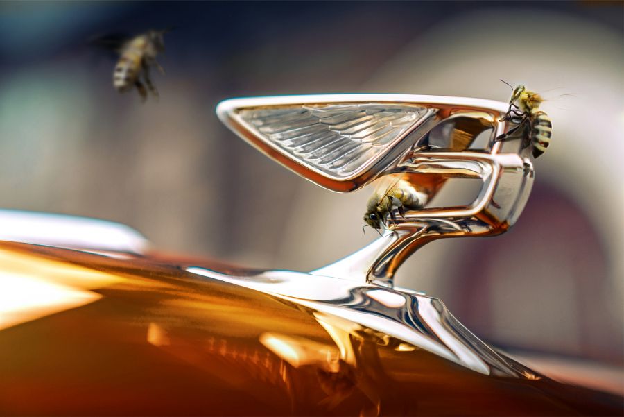 Honey Harvest 2022 5